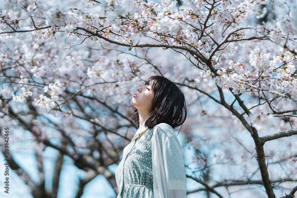桜の木の下にいる女性 桜の木の下にいる女性