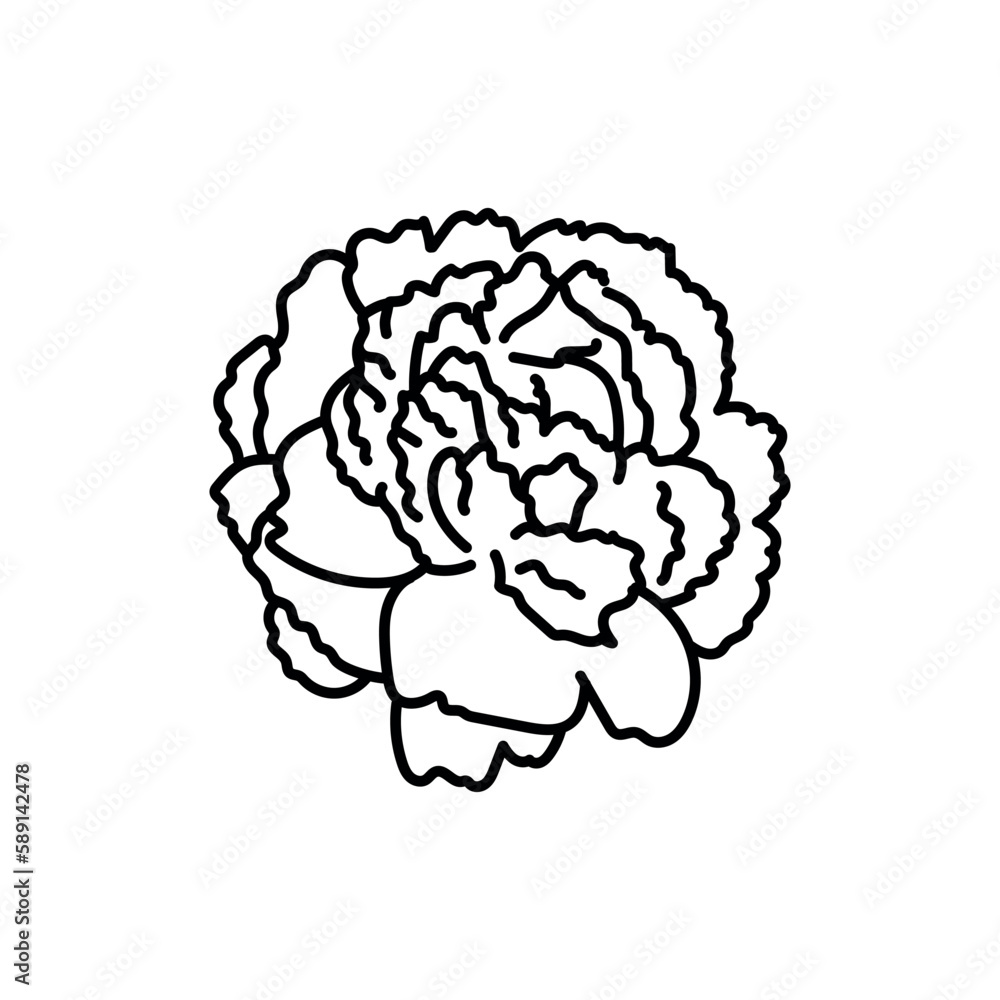 Peony black line Peony black line