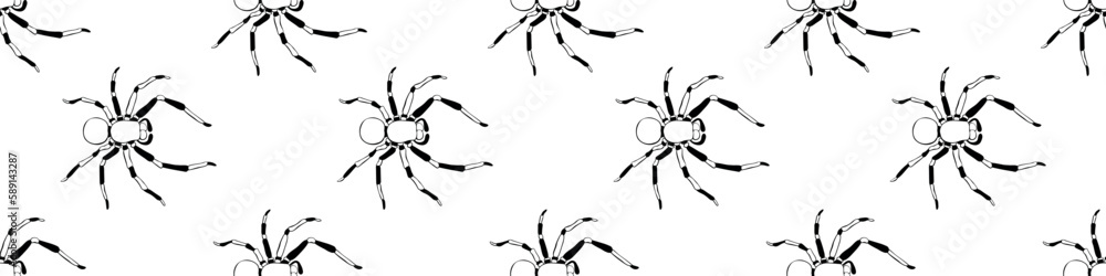 Vector Seamless Pattern Of Outline Spiders In Doodle Style Simple