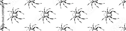 Vector seamless pattern of outline spiders in doodle style. Simple background and texture of theme of insects, animals, halloween, phobias