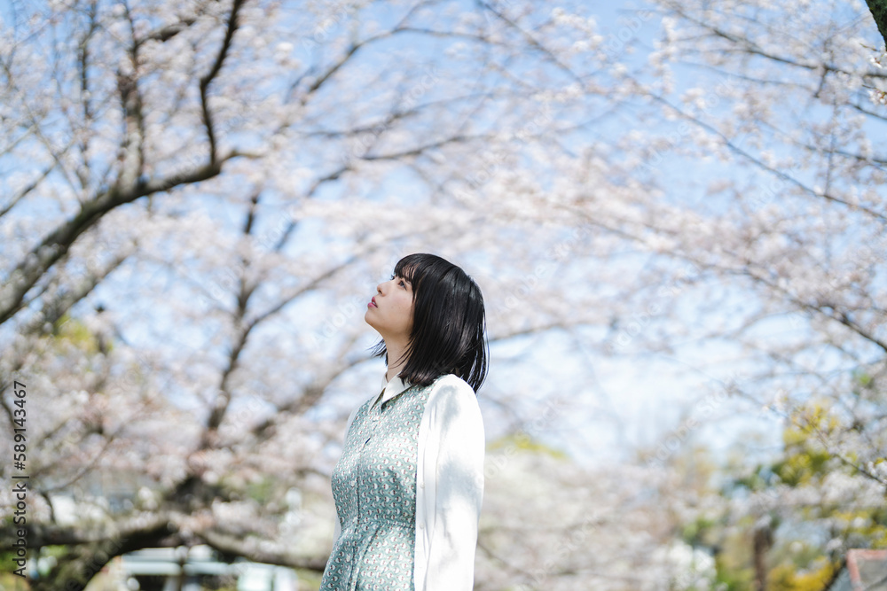 桜の花を見るショートヘアの女性 桜の花を見るショートヘアの女性
