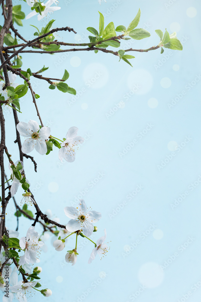 Beautiful floral spring .Beautiful spring background with branch of blossoming tree and flash of sun in nature Beautiful floral spring .Beautiful spring background with branch of blossoming tree and flash of sun in nature