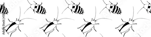 Vector seamless pattern from oriental and madagascar cockroaches, beetles, insects. Pest control background and texture