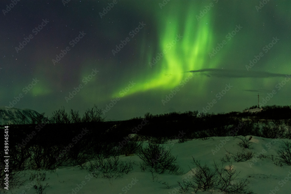 imagen de un paisaje nocturno nevado con una aurora boreal en el cielo de Islandia