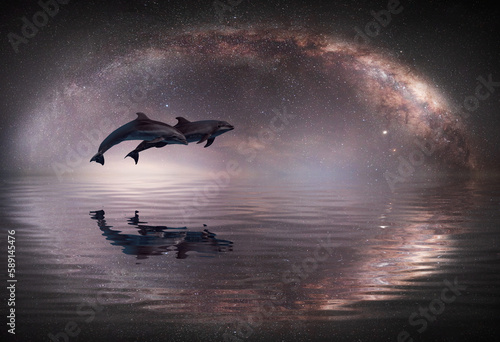 Couple jumping dolphins with Milky Way galaxy 