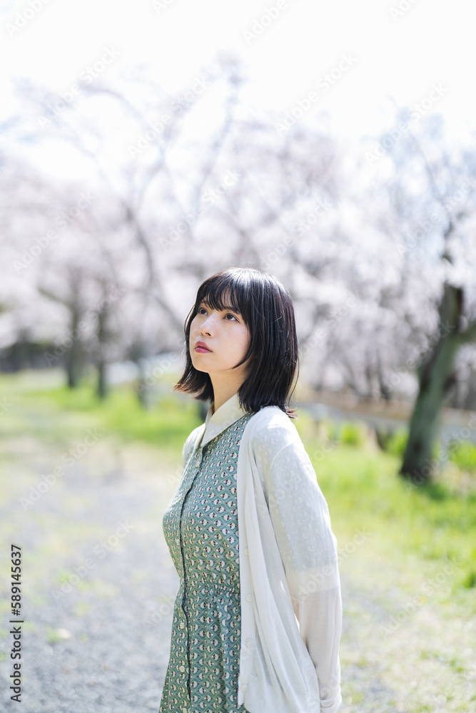 桜の花を見るショートヘアの女性 桜の花を見るショートヘアの女性