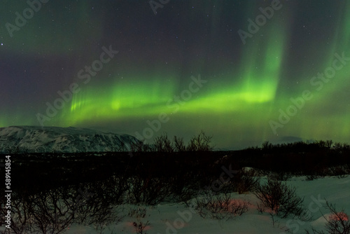 imagen de un paisaje nocturno nevado  con monta  as de fondo  y una aurora boreal sobre el cielo de Islandia 