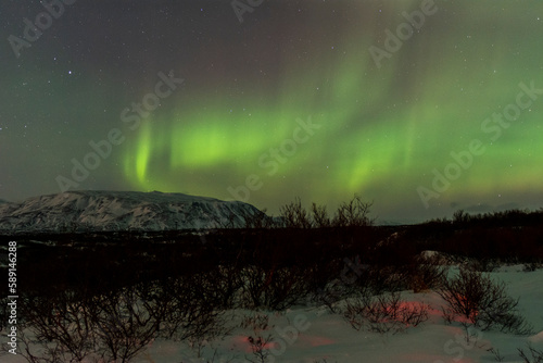 imagen de un paisaje nocturno nevado con una aurora boreal en el cielo