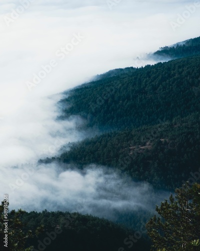 Vertical aerial shot of the mountains covered with trees above the sky