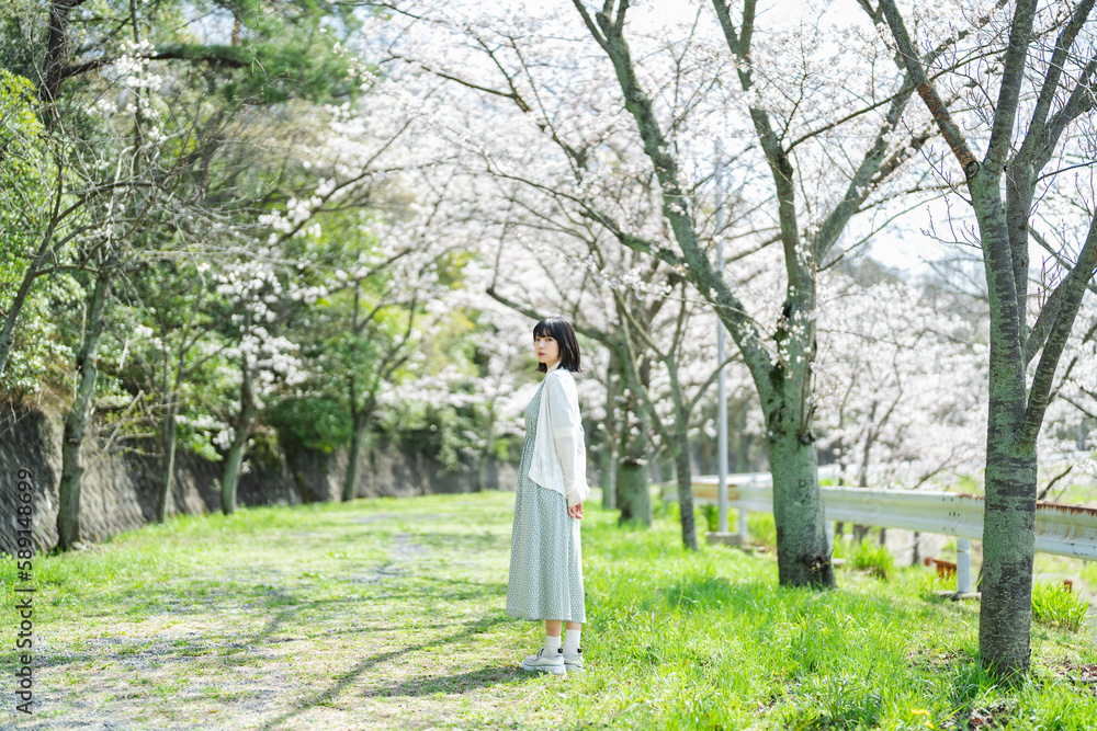 桜の花を見るショートヘアの女性 桜の花を見るショートヘアの女性