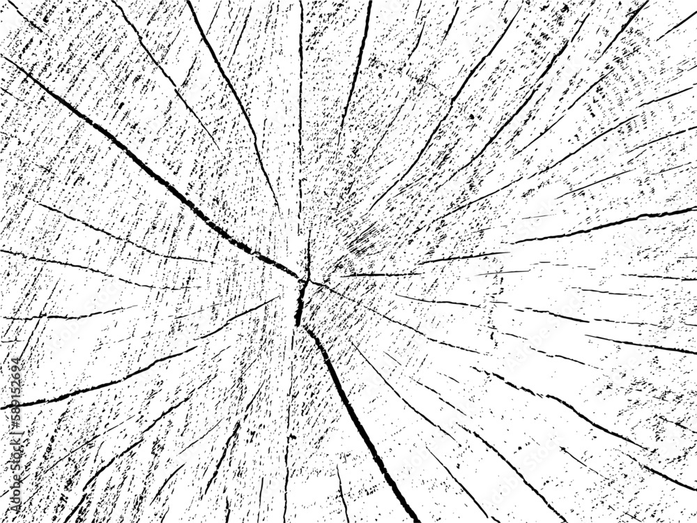 Vector grunge texture of an apple tree cross-section. Monochrome background of an old sawn log with cracks. Template for overlay or stencil. A design element that is raw, natural, and unique