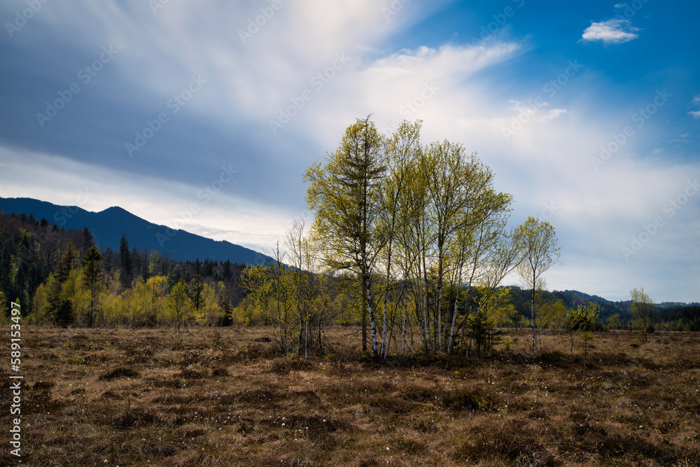 Moor, Berge, Alpenvorland, Staffelsee, Murnau Moor, Berge, Alpenvorland, Staffelsee, Murnau