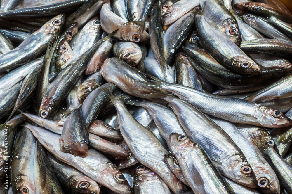 Many Raw Small Sprat Fishes Background. Top View. Bulk of Fresh Sprats on a Market Stall. Many Raw Small Sprat Fishes Background. Top View. Bulk of Fresh Sprats on a Market Stall.