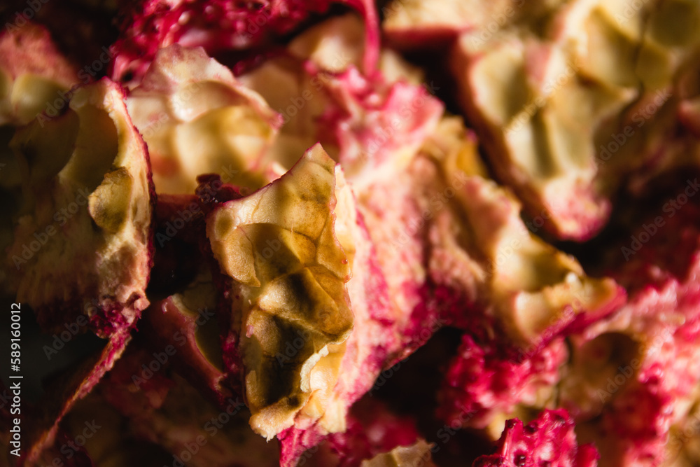 Concept of earth day, composting, zero waste and recycling. Pomegranate fruit peel macro. Concept of earth day, composting, zero waste and recycling. Pomegranate fruit peel macro.
