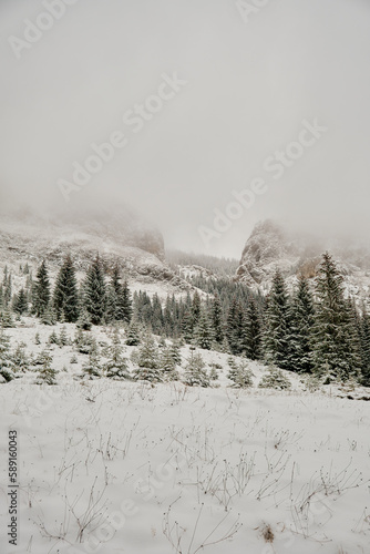snow covered mountains