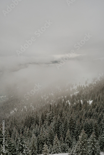 fog in the mountains © Nicu