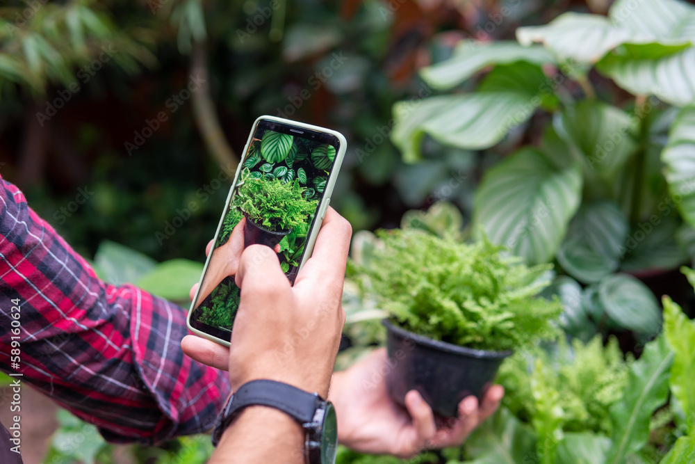 Customer photographs plant in a neighborhood store Customer photographs plant in a neighborhood store