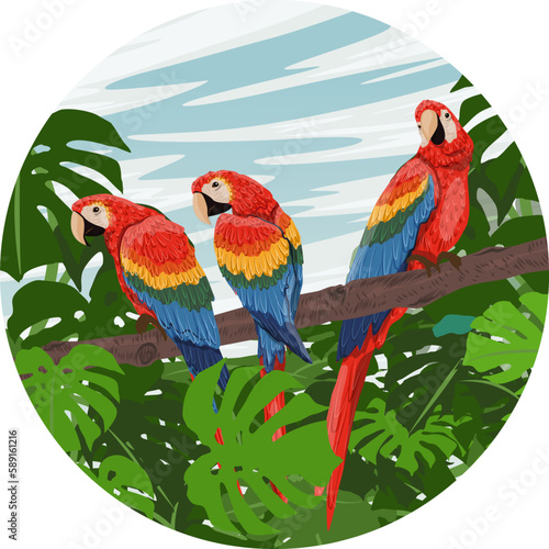 Round composition. A flock of scarlet macaw parrots sits on the branches of a tropical tree with moss and large leaves. South America and Africa. Realistic vector landscape
