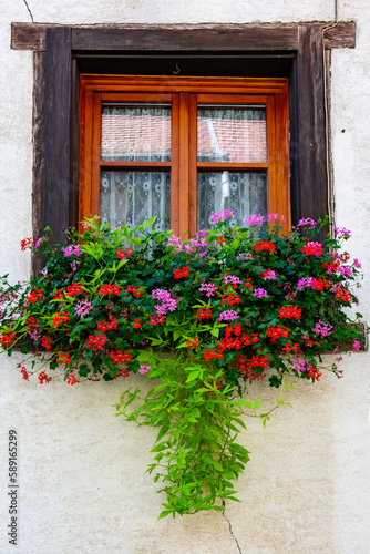 Old window and flowers on the Vintage house  Eguisheim  France