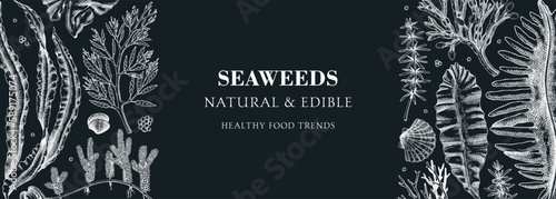 Edible seaweed banner design. Hand drawn food ingredients and vegetarian products on chalkboard. Sea vegetables - kelp, wakame, kombu, hijiki, Irish moss vector illustration. Asian cuisine menu