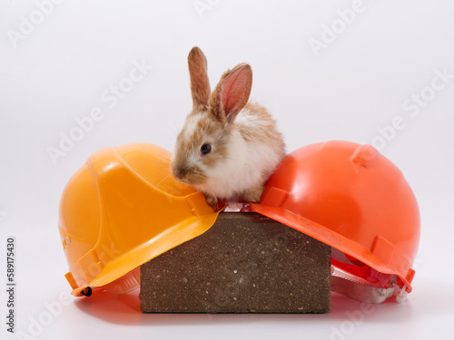 builder's day, symbol of the year easter bunny in a construction helmet on a white background