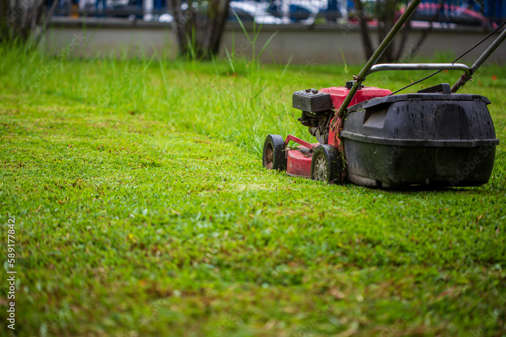 Fototapeta premium Red Lawn mower cutting grass
