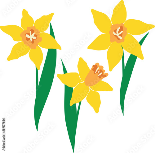 vector composition flowers and leaves narcissus yellow