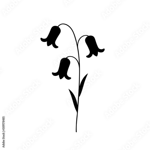 Silhouette of blooming bellflower. Flower. Floral element. 