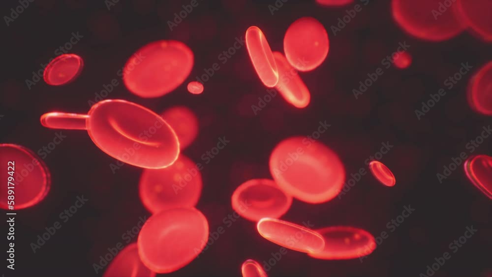 Healthy human red bloodcells abstract concept Healthy human red bloodcells abstract concept