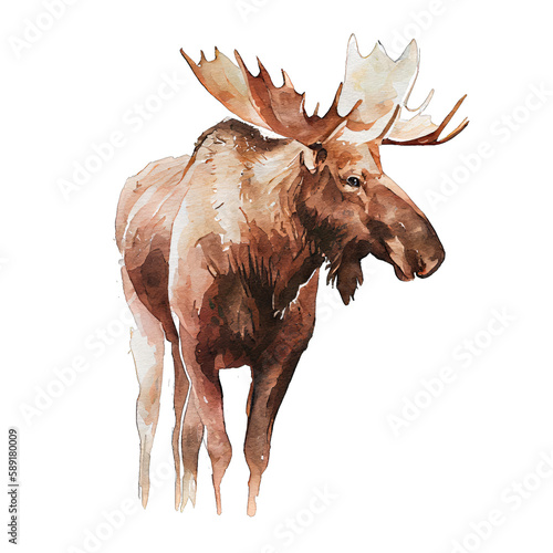 Moose illustration watercolor with transparent background. Generative AI