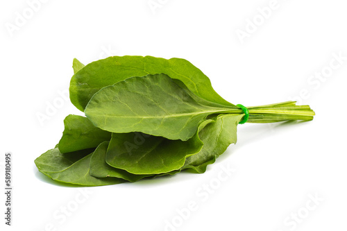 Bundle of fresh spinach on white background photo