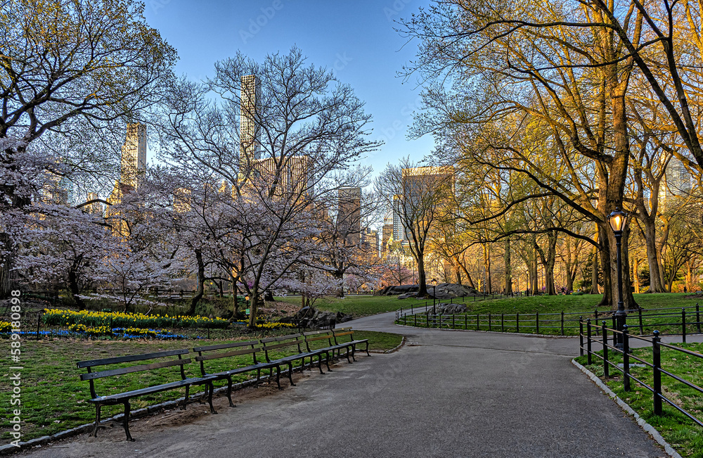 Fototapeta premium Central Park in spring