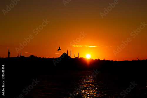 Silhouette of Istanbul at sunset. Suleymaniye Mosque and seagull.