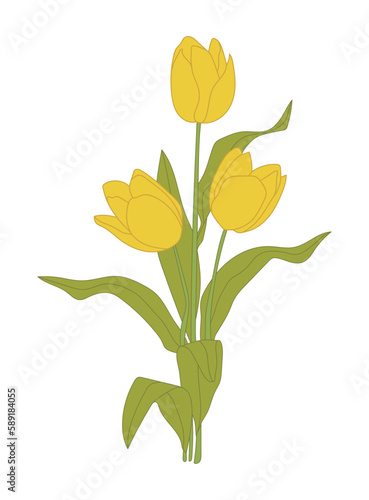 Hand drawn illustration of yellow tulip flowers blooming in spring.