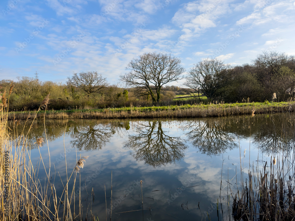 Trees reflected in Little Bog Lake in Combe Valley, East Sussex, England