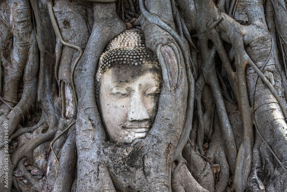 Statue de Bouddha, Ayutthaya, Thailande