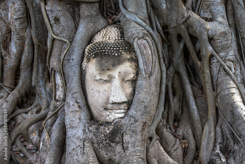 Obraz na płótnie Statue de Bouddha, Ayutthaya, Thailande w salonie