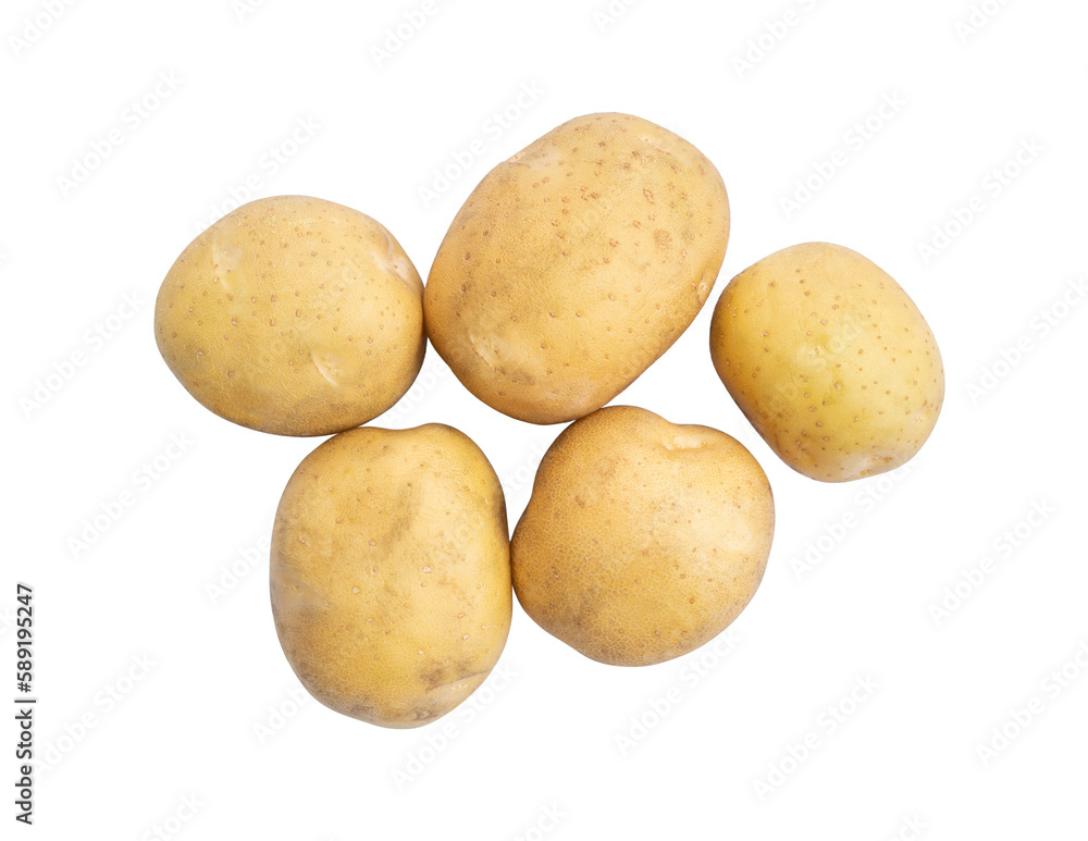 Raw Potato isolated transparent background. Raw Potato isolated transparent background.