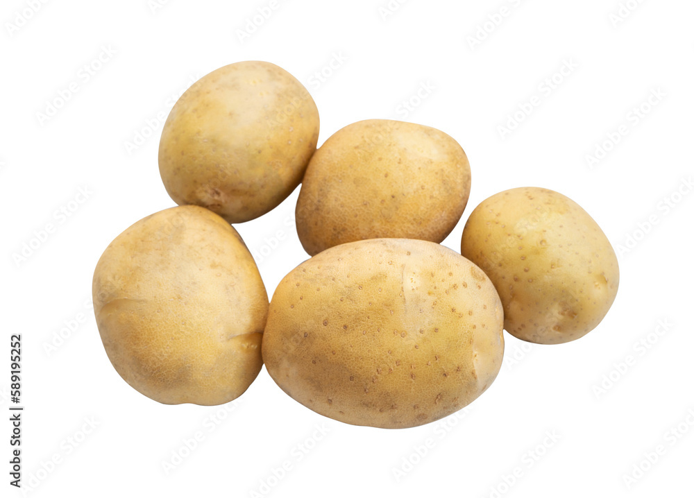 Potato isolated transparent background. Potato isolated transparent background.
