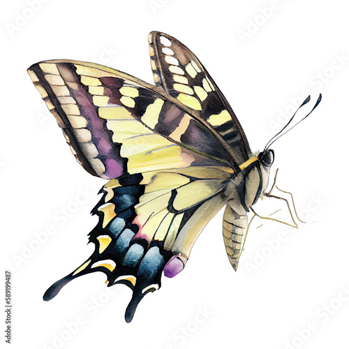 Ghost swallowtail  buterfly. Watercolor with transparent background. Generative AI