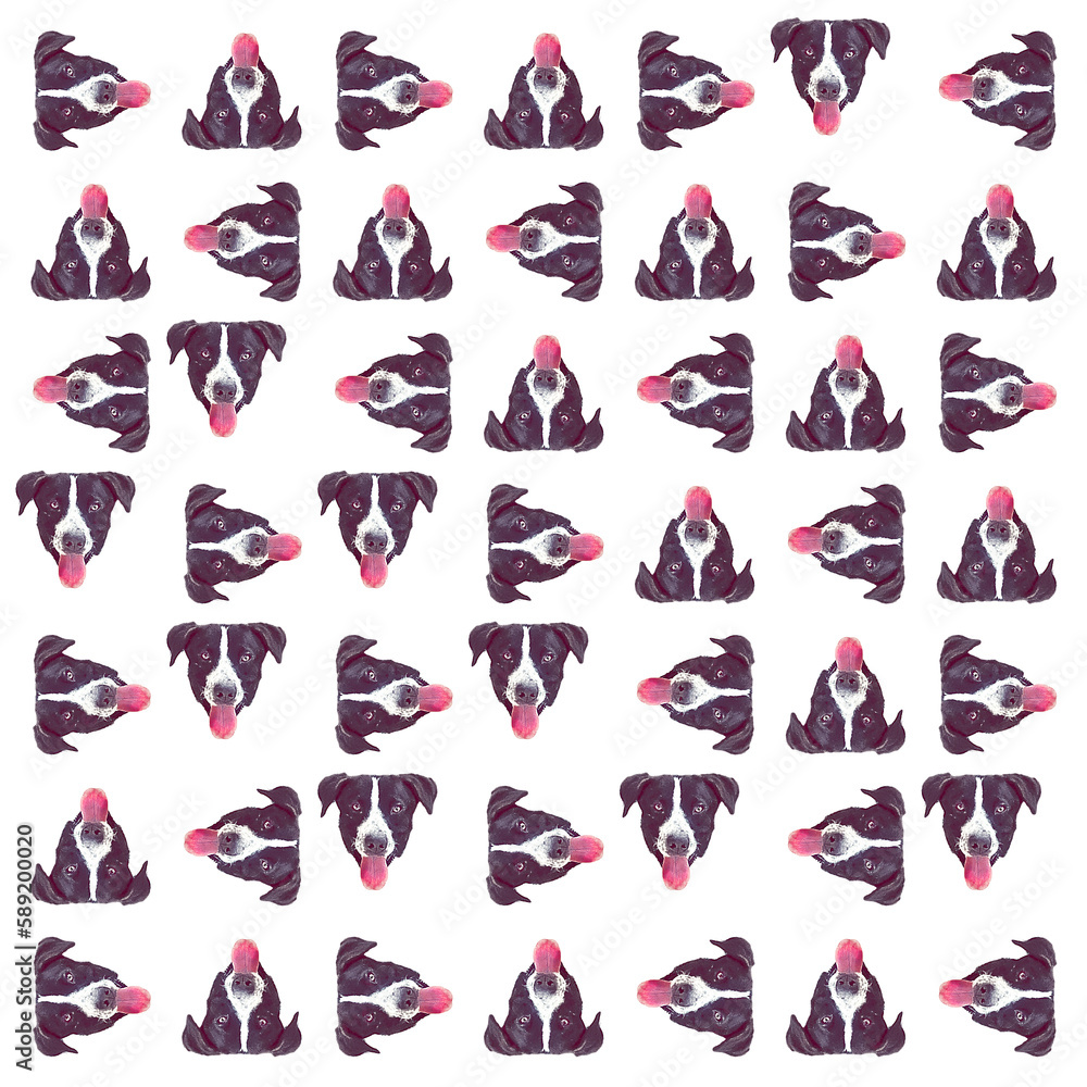 Obraz premium Funny dog head motif random pattern