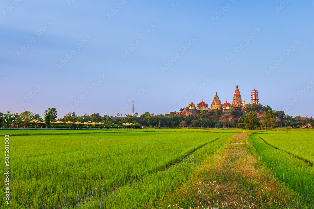 Wat Tham Seua temple with green rice filed in the sunset time at Kanchanaburi Thailand