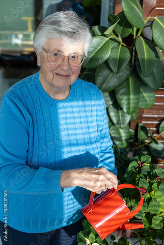 85 years old woman with grey hairs watering green plants from watering can at home