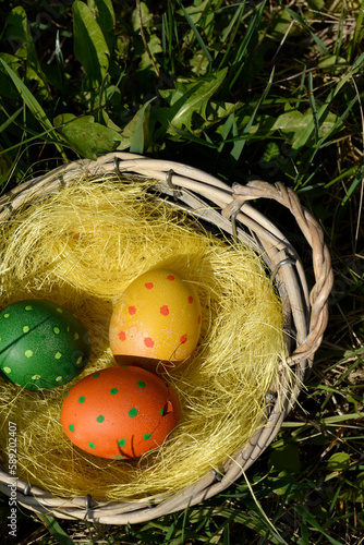 Colorful Easter eggs in the nest on fresh spring meadow with yellow flowers.Top view. Symbol. Easter hunt. Vertical