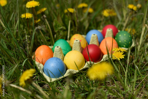 6 Multi colors painted easter eggs in the eggs tray on the fresh spring grass.Traditional Easter egg hunt.Easter symbol