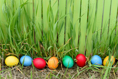 Multi colors painted easter eggs laid out along the green fence. Easter symbol. Festive decoration. Copy space