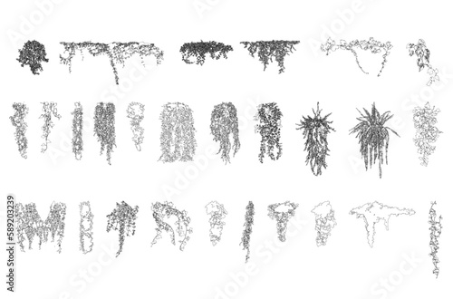 Foto vines tropical plant drawing, Side view, set of graphics trees elements outline symbol for architecture and landscape design drawing