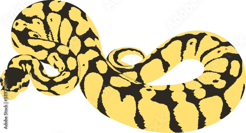 Ball Python Vector Art