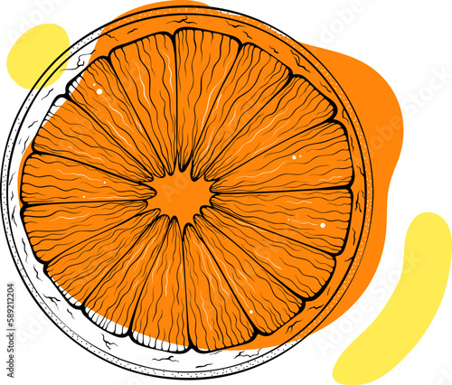 Circle orange outline. Round citrus slice. Stylish sketch with abstract colored spots. Black lines with stain, blot. Vector hand drawn modern illustration isolated on white. Fruit design, print, logo