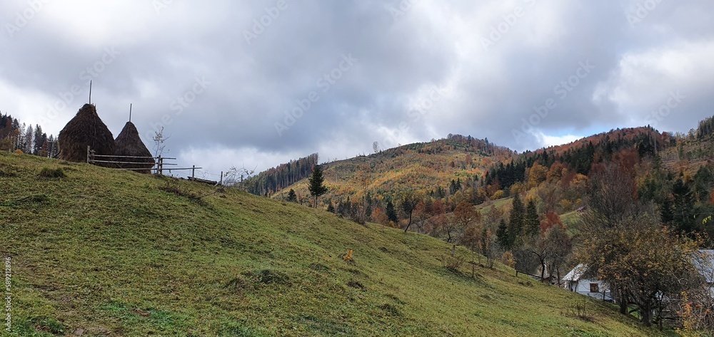 Autumn rural landscape in the mountains
